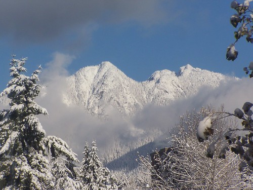 view from nitobi office