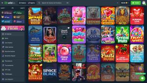 Wild.io no KYC casino